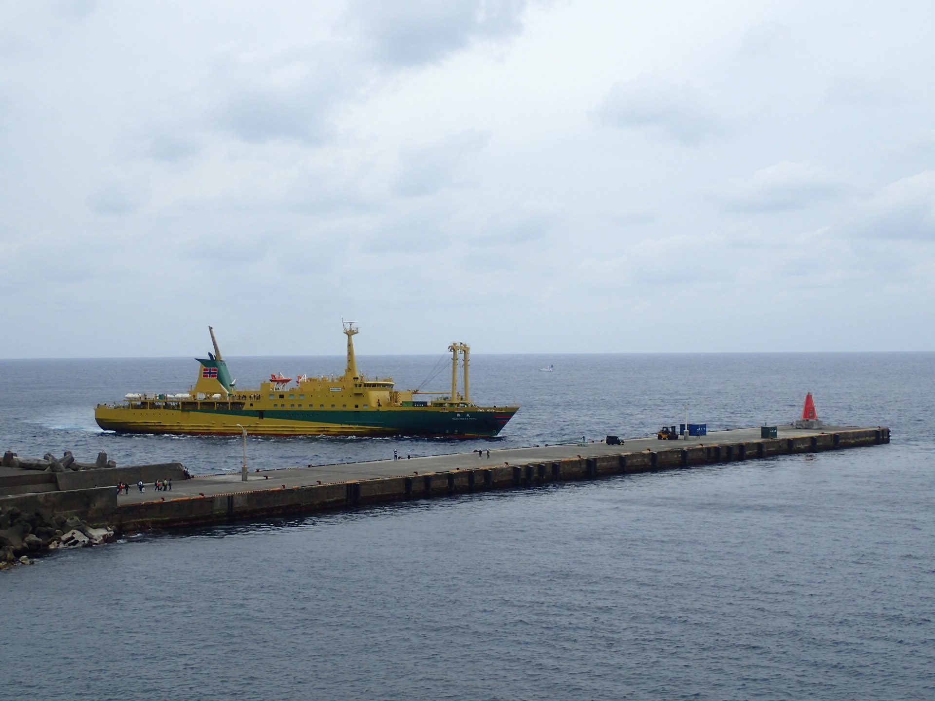 GW終了！: イルカの棲む島ぐらし2（Mikura）